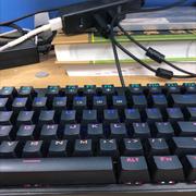 BigXY的个人资料头像