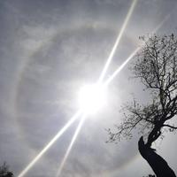 天心月圆wonderful头像