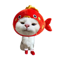 傻瓜爱分享头像