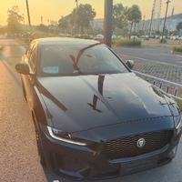 佛系司机李头像