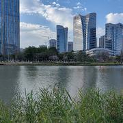 南瓜一族的个人资料头像