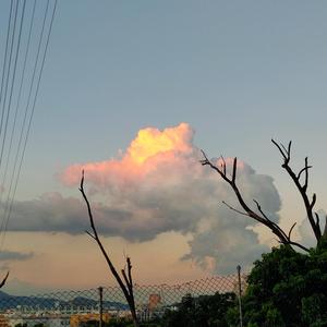 钲威机械赵萍头像