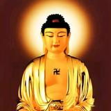 文艺文具盒7头像