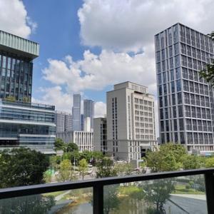 中间偏左视角头像