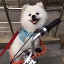 海子同志的个人资料头像