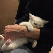 李伟595的个人资料头像