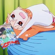 Ader的个人资料头像