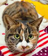 小五s的个人资料头像