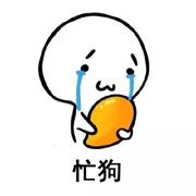 busydog的个人资料头像