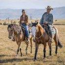 Joe_一蓑烟雨任平生的个人资料头像