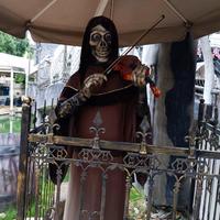 拉琴的骷髅💀头像