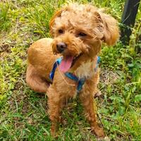 天在下着雨头像