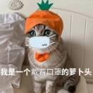 Charles42的个人资料头像