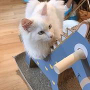 用户2397581959794的个人资料头像