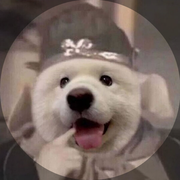 傻球的个人资料头像