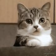 乃宝超市我的个人资料头像