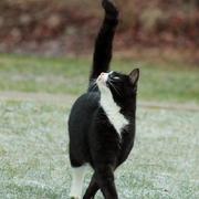 juejinsb的个人资料头像