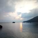 啊志的个人资料头像