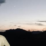 机智的啊呆呆头像
