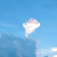 城市里的蚂蚁头像