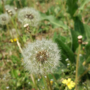 渴了喝点凉白开的个人资料头像