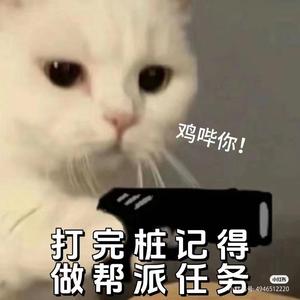 不如打电动头像