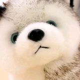 钟离风雪头像