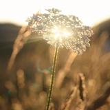 旧忆已沉沦头像