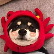 用户8077978668939的个人资料头像