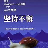 大漠孤鹰被注册了头像
