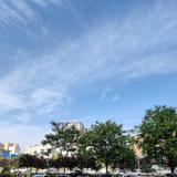 王小胖非常6头像