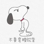 九品知码酱的个人资料头像