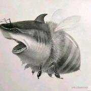 一个一个一个魂儿的个人资料头像