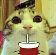 aprilming97959的个人资料头像