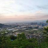 乌龟的黑头0头像