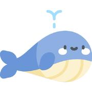 whaleoYo的个人资料头像