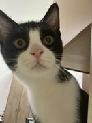 Killer_DoraLi的个人资料头像