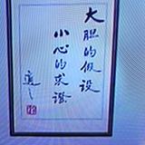 物华天阜头像