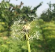朱莉儿的个人资料头像