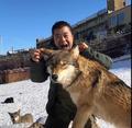 我在新疆养狼