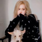 桃桃桃桃桃子的个人资料头像