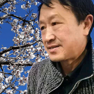 鑫众老板头像