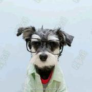 独孤的个人资料头像