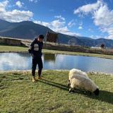 潇洒艺术家WW头像