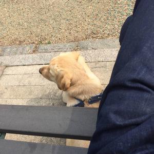 乐居是个团头像