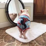 AlexHan的个人资料头像