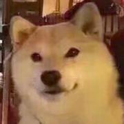 辉煌源哥的个人资料头像