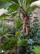 者相的个人资料头像