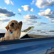 哎哟喂呀的个人资料头像