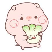 wulihaha的个人资料头像